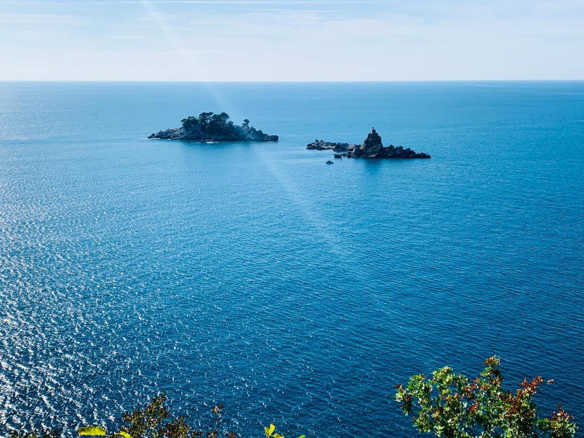 Best View Apartment Petrovac Zewnętrze zdjęcie