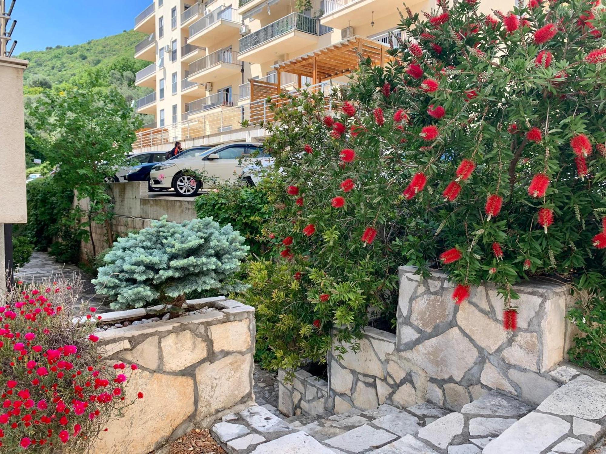 Best View Apartment Petrovac Zewnętrze zdjęcie